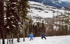 2008