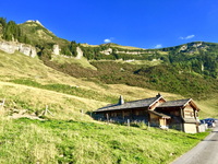 2015